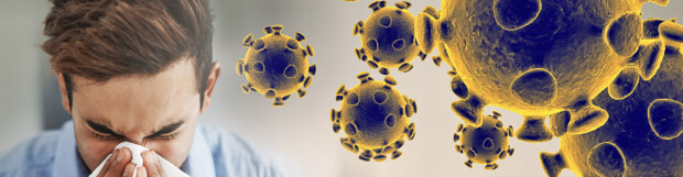 Coronavirus (COVID-19): What you should know